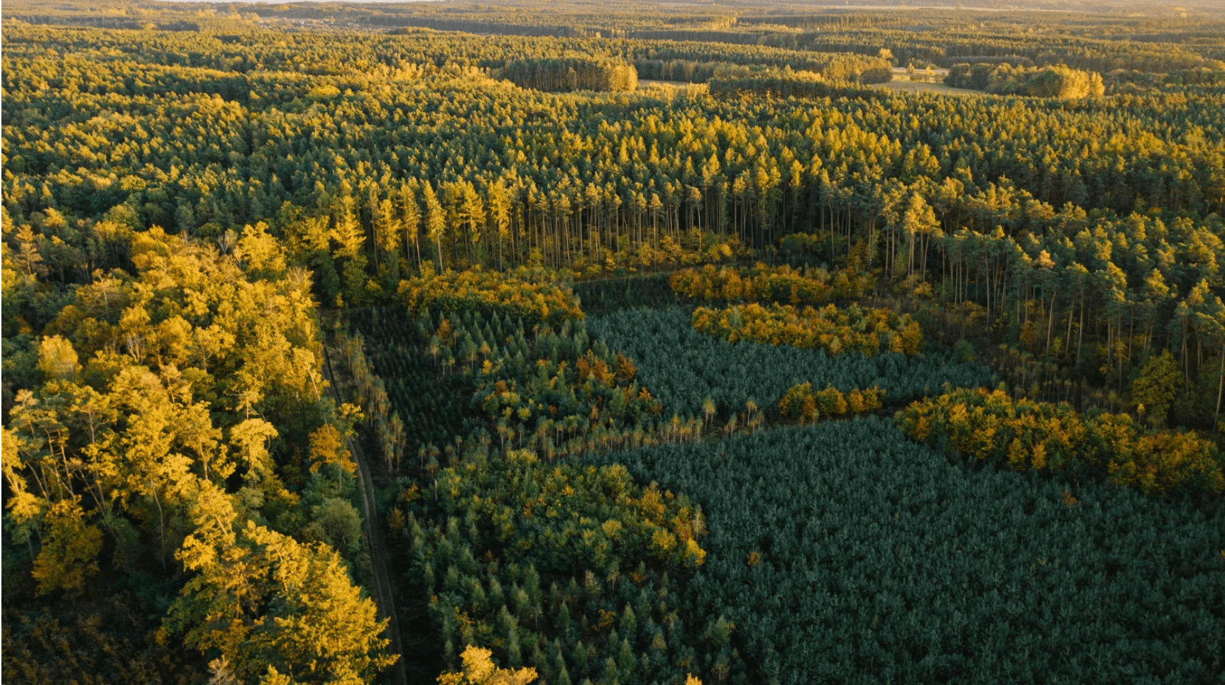 Background landscape